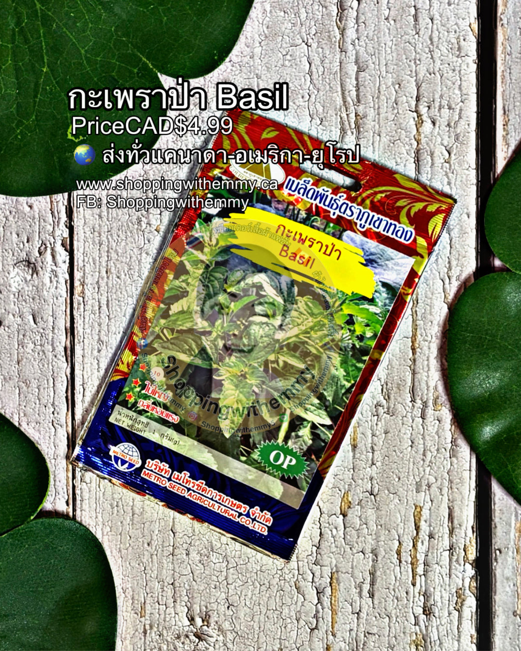 กระเพราป่า Basil